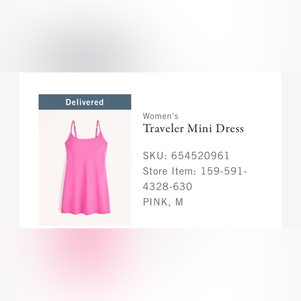 Abercrombie & Fitch Traveler Mini Dress
